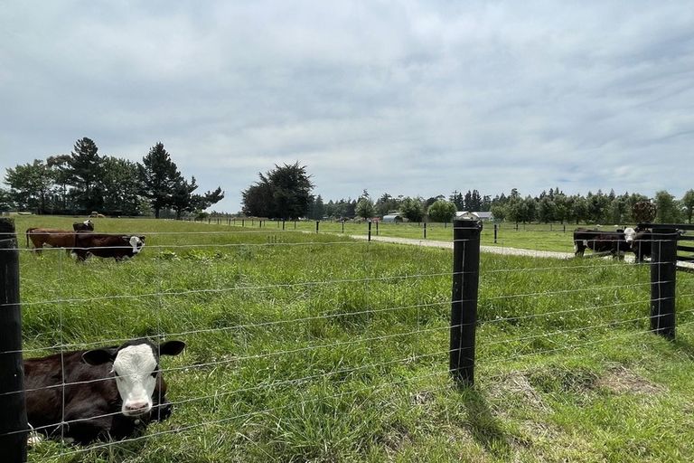 Photo of property in 36 Studholme Settlement Road, Waimate, 7979
