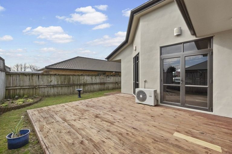 Photo of property in 14 Thistlewood Avenue, Hamilton East, Hamilton, 3216