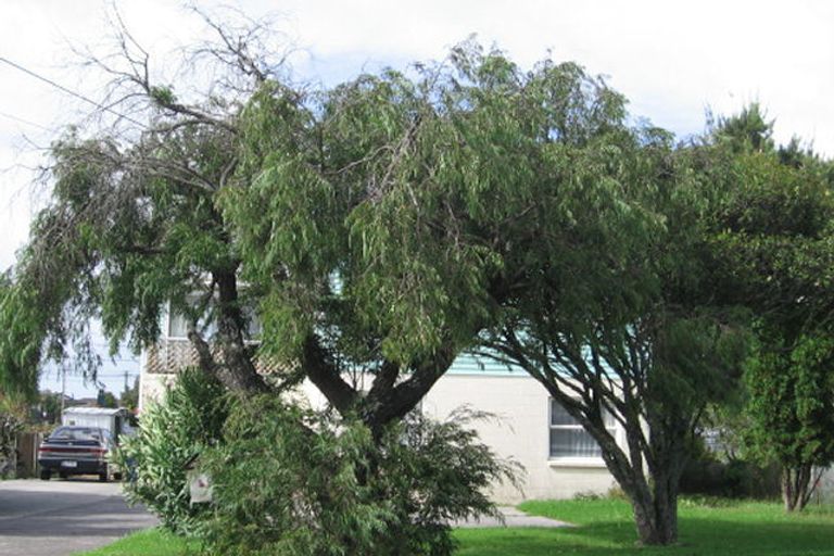 Photo of property in 4 Airdrie Road, Ranui, Auckland, 0612