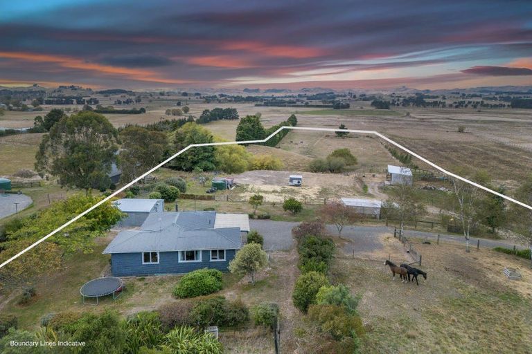 Photo of property in 319 Porangahau Road, Waipukurau, 4282