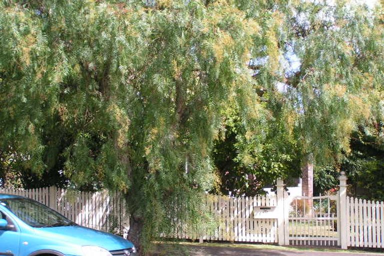 Photo of property in 36 Clarence Road, Northcote Point, Auckland, 0627