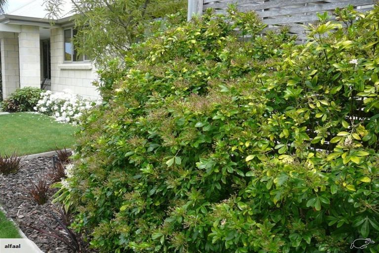 Photo of property in 6 Seclusion Lane, Parklands, Christchurch, 8083