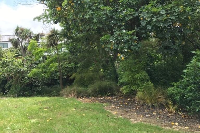 Photo of property in 109a Harakeke Street, Fendalton, Christchurch, 8014