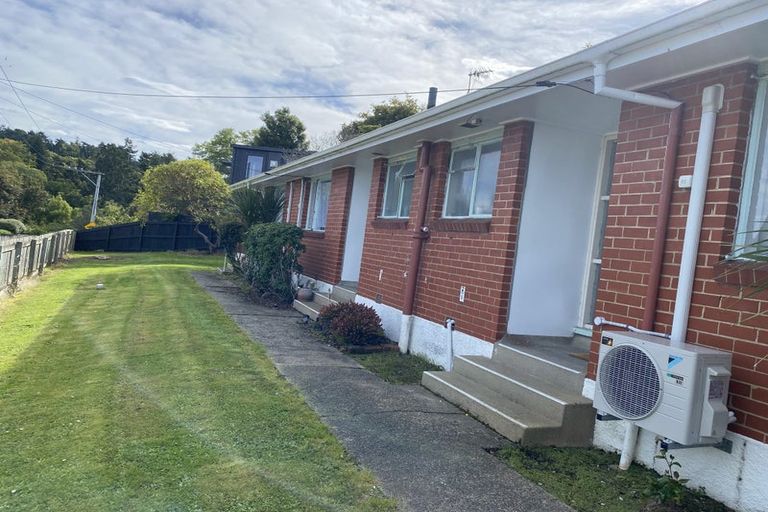 Photo of property in 3 Maori Road, Dunedin Central, Dunedin, 9016