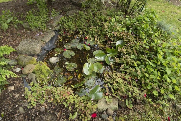 Photo of property in 18 Vine Avenue, Maungatapu, Tauranga, 3112