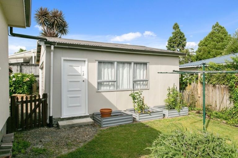 Photo of property in 17 Shelley Street, Leamington, Cambridge, 3432