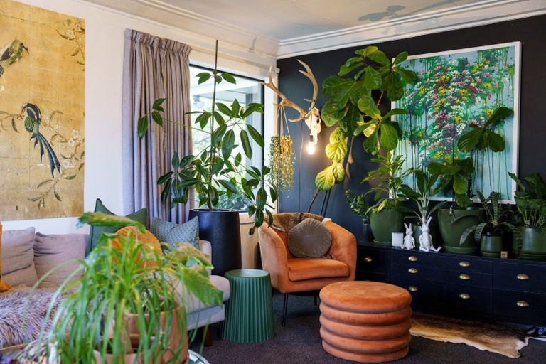 Photo of property in 19 Erin Street, Roslyn, Dunedin, 9010