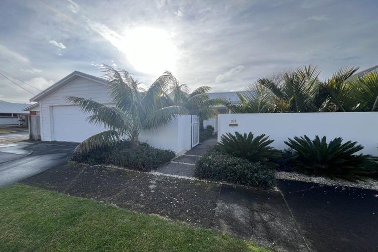 Photo of property in 161 Lemon Street, Strandon, New Plymouth, 4312