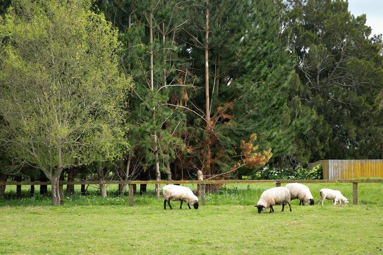 Photo of property in 42a Junction Road, Paeroa, 3600