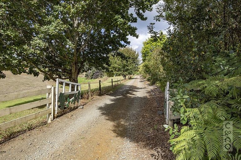 Photo of property in 231 Taiapa Road, Muriwai, Waimauku, 0881