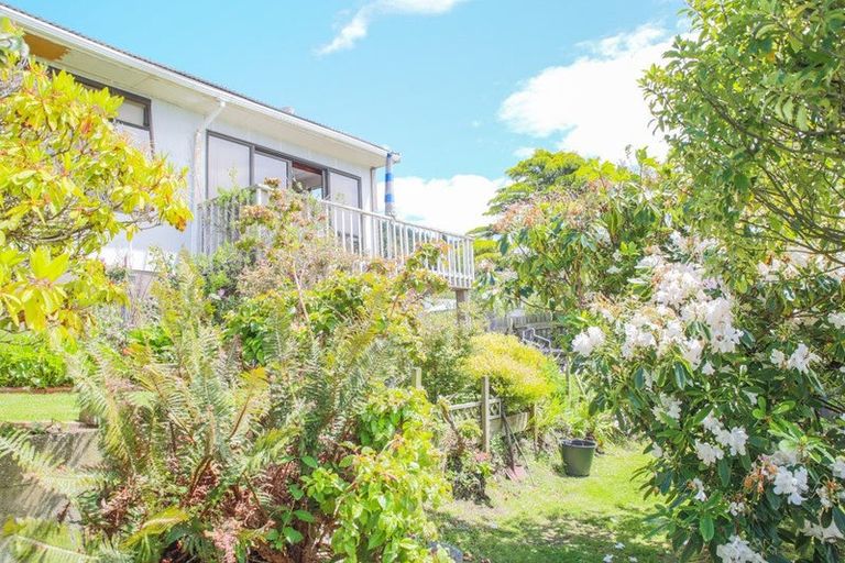 Photo of property in 46 Walker Street, Bluff, 9814