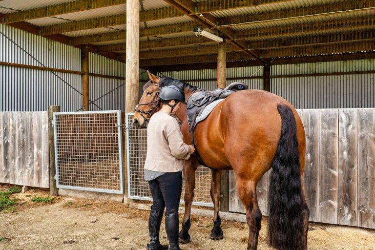 Photo of property in 559 Raukawa Road, Raukawa, Hastings, 4174