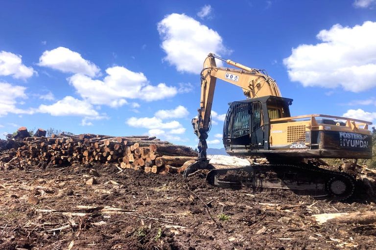 Photo of property in 496a State Highway 7, Kaiata, Greymouth, 7805