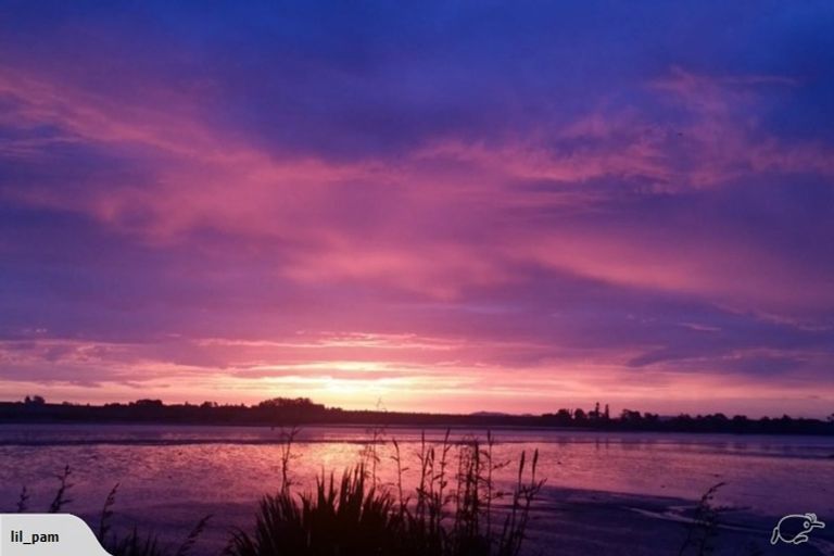 Photo of property in 47 St Annes Crescent, Wattle Downs, Auckland, 2103