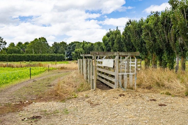 Photo of property in 279 Longbeach Road, Willowby, Ashburton, 7773