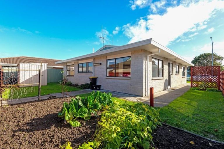 Photo of property in 193 Kimbolton Road, Feilding, 4702