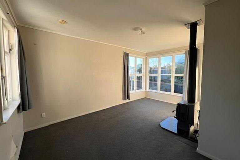 Photo of property in 17 Maire Street, Levin, 5510