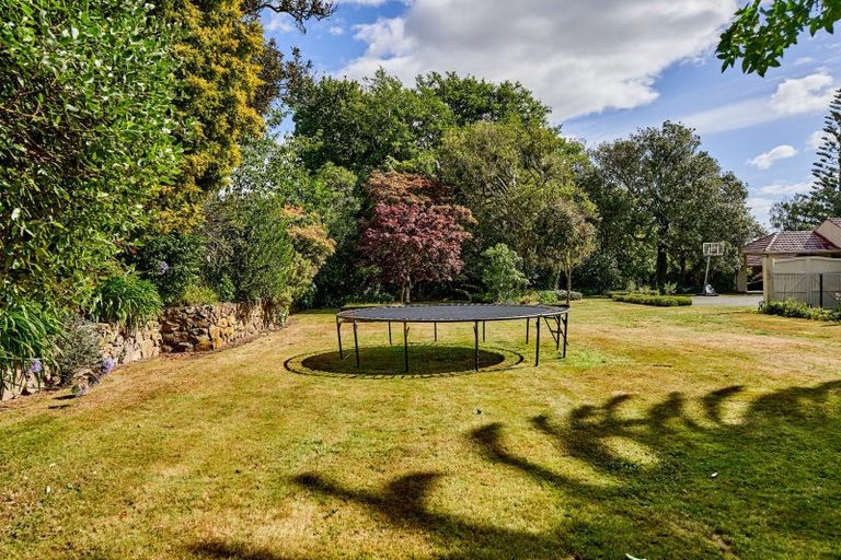 Photo of property in 44 Kawiu Road, Levin, 5510