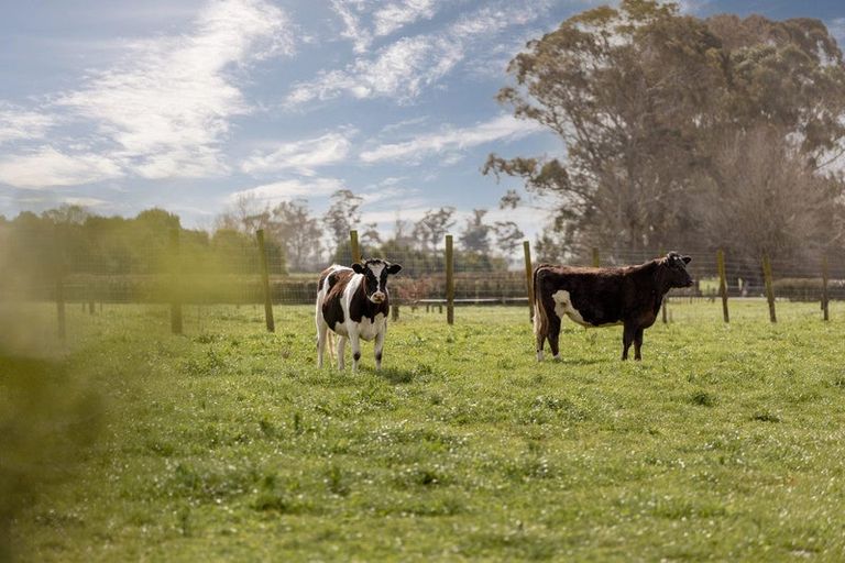 Photo of property in 125a Mclean Road, Awakeri, Whakatane, 3193