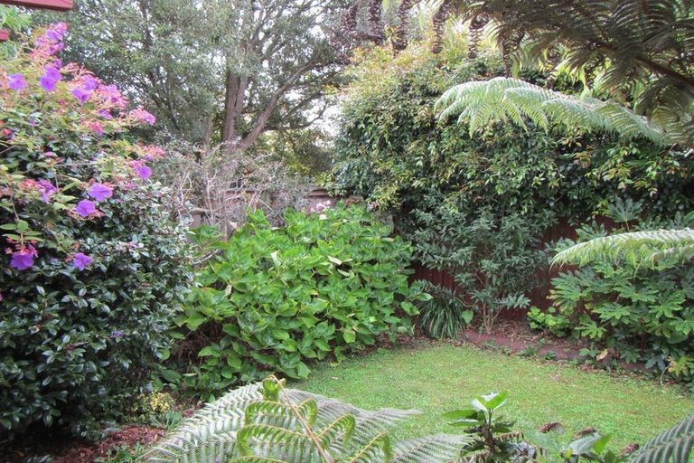 Photo of property in 23b Valley Road, Mount Maunganui, 3116