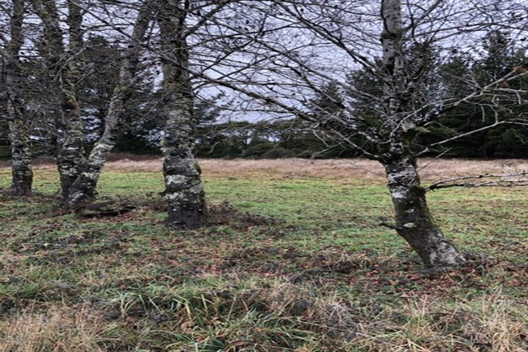 Photo of property in 1426 Waitaanga Road, Waitaanga, Ohura, 3980