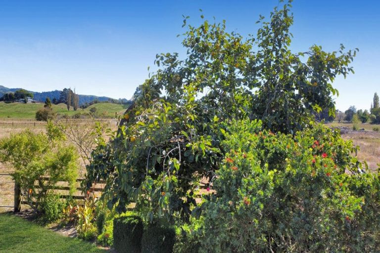Photo of property in 2600b State Highway 30, Otakiri, Whakatane, 3192