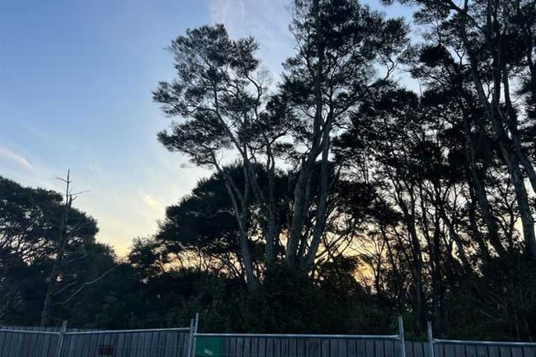 Photo of property in 11 Ti Tree Lane, Stanmore Bay, Whangaparaoa, 0932