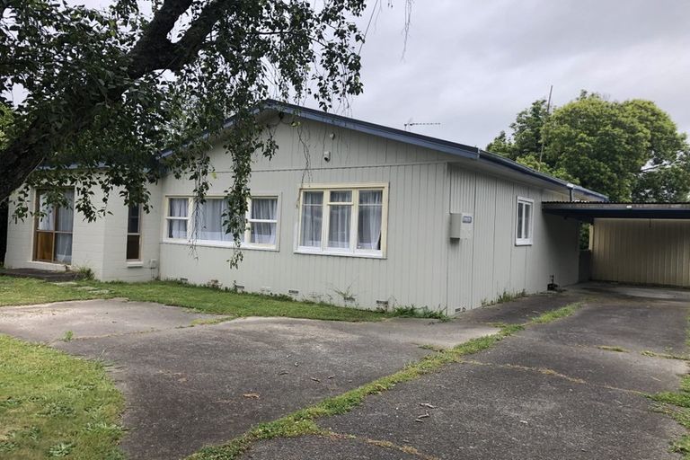 Photo of property in 59 Wellington Street, Hamilton East, Hamilton, 3216