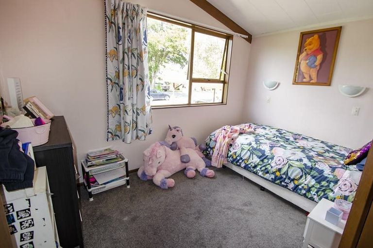 Photo of property in 15 Syndic Street, Cromwell, 9310