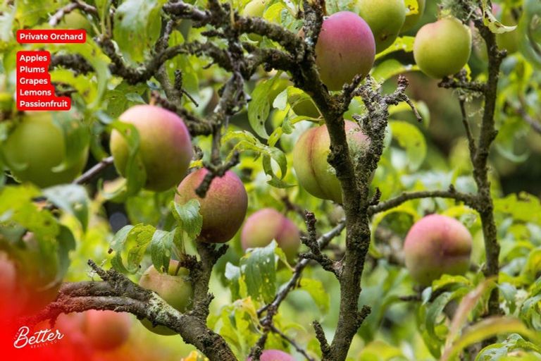 Photo of property in 10 Richmal Street, Waihi, 3610