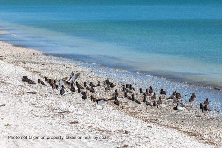 Photo of property in 589 East Coast Road, Browns Bay, Auckland, 0632