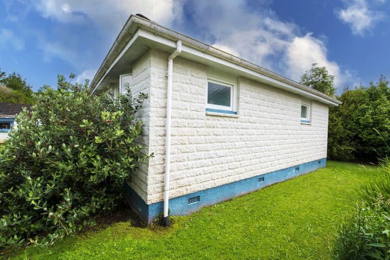 Photo of property in 28 Macarthur Street, Levin, 5510