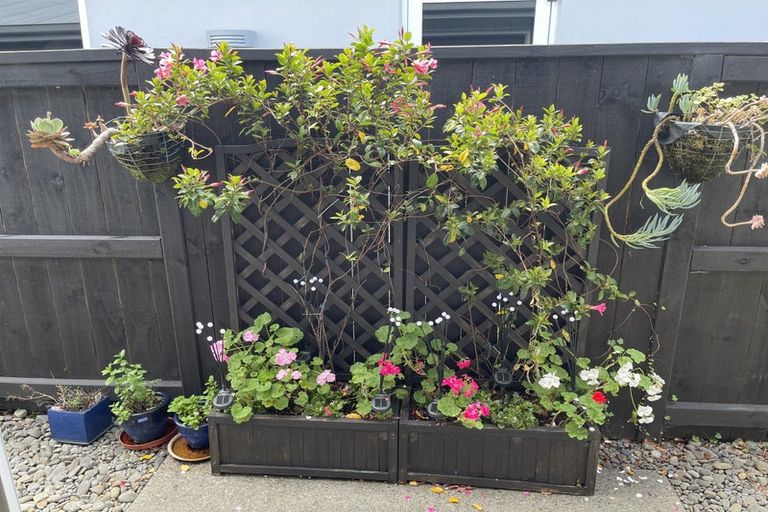 Photo of property in 9 Pimelea Street, Papamoa Beach, Papamoa, 3118