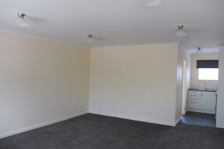 Photo of property in 4/299 Ruahine Street, Terrace End, Palmerston North, 4410