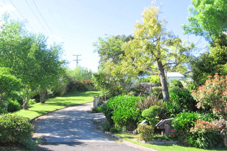Photo of property in 51 Winter Street, Mangapapa, Gisborne, 4010