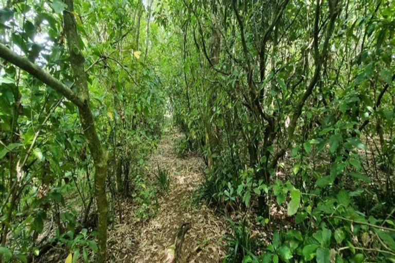 Photo of property in 47 Te Whanga Road, Levin, 5572