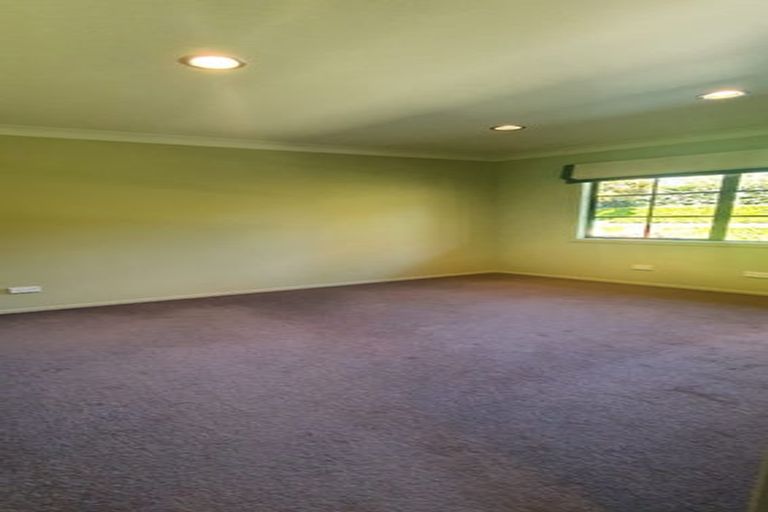 Photo of property in 21 Stella Place, Chartwell, Hamilton, 3210