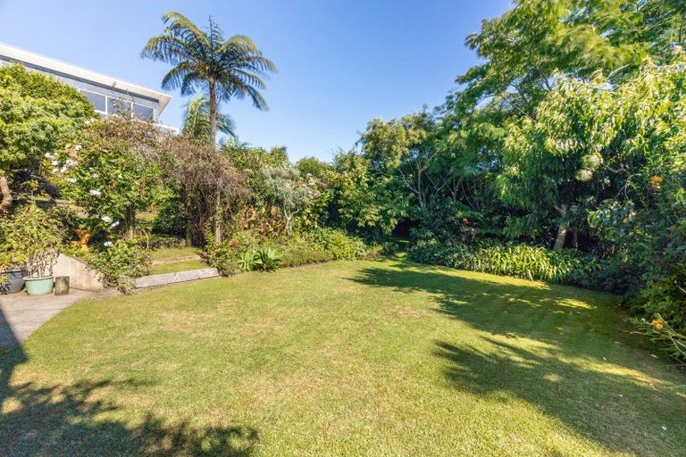Photo of property in 171 Molesworth Street, New Plymouth, 4312