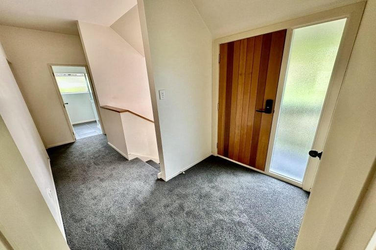 Photo of property in 169 Somerville Street, Waverley, Dunedin, 9013