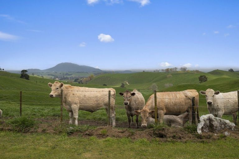 Photo of property in 333 Palmer Mill Road, Wairakei, Taupo, 3384