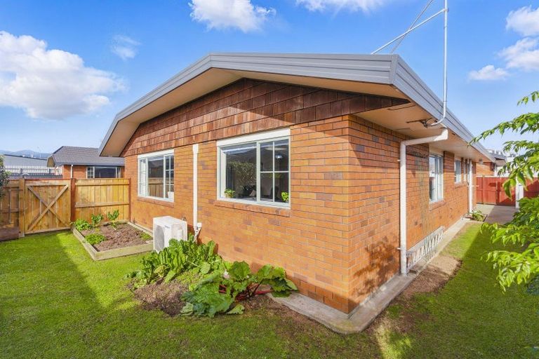 Photo of property in 3 Surrey Lane, Levin, 5510