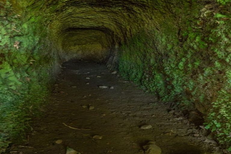 Photo of property in 15 Toots Drive, Kawakawa, 0282