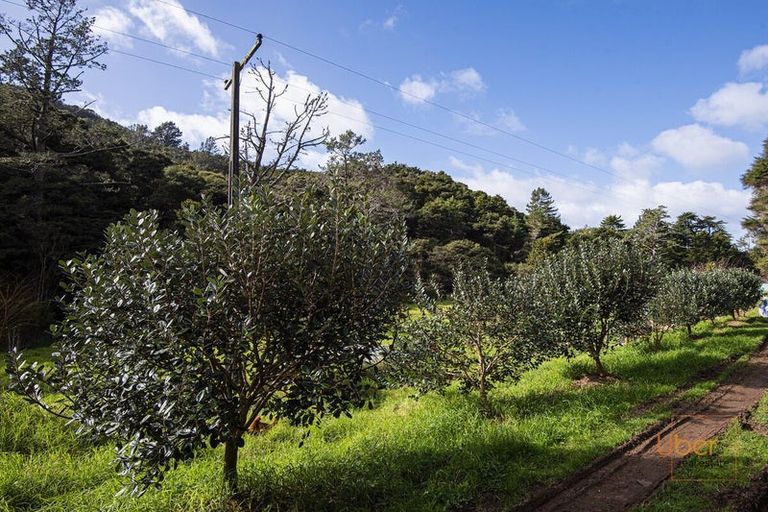 Photo of property in 74 Waiparera Road, Parua Bay, 0192