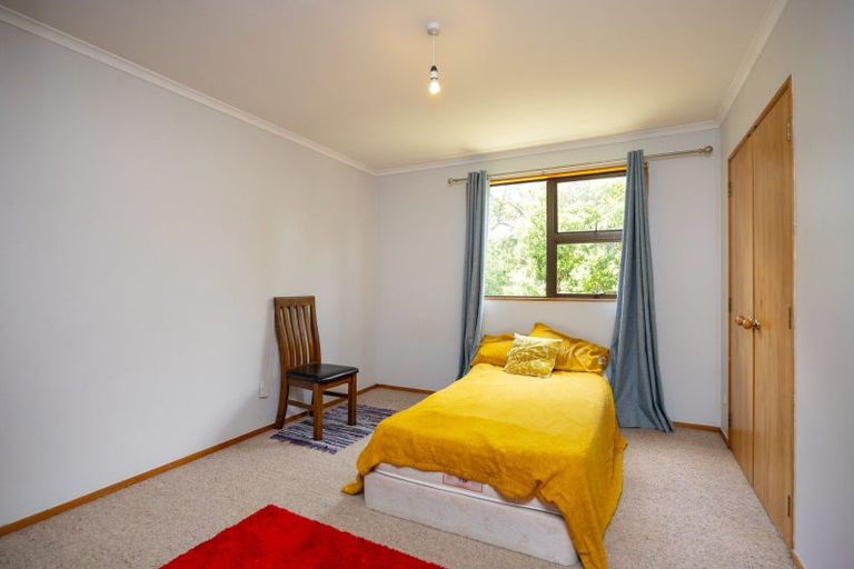 Photo of property in 44 Alfred Street, Roslyn, Palmerston North, 4414