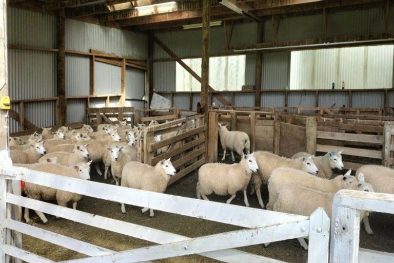 Photo of property in 82 Pinnacle Road, Whiterigg, Gore, 9775