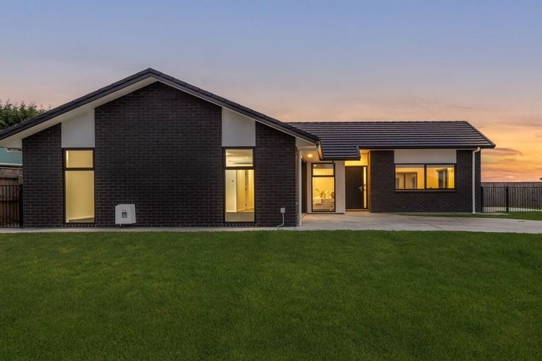 Photo of property in 79 Hinemoa Street, Levin, 5510