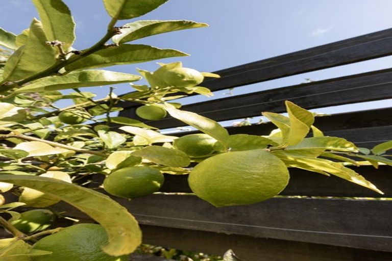 Photo of property in 11 Vista Close, Omokoroa, 3114