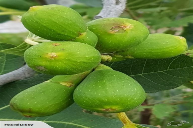 Photo of property in 81 Wiggins Street, Sumner, Christchurch, 8081