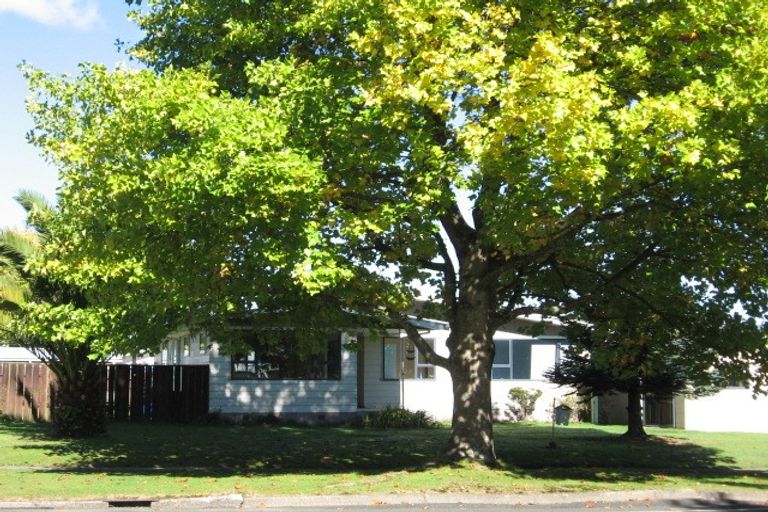 Photo of property in 137 Balmoral Drive, Tokoroa, 3420