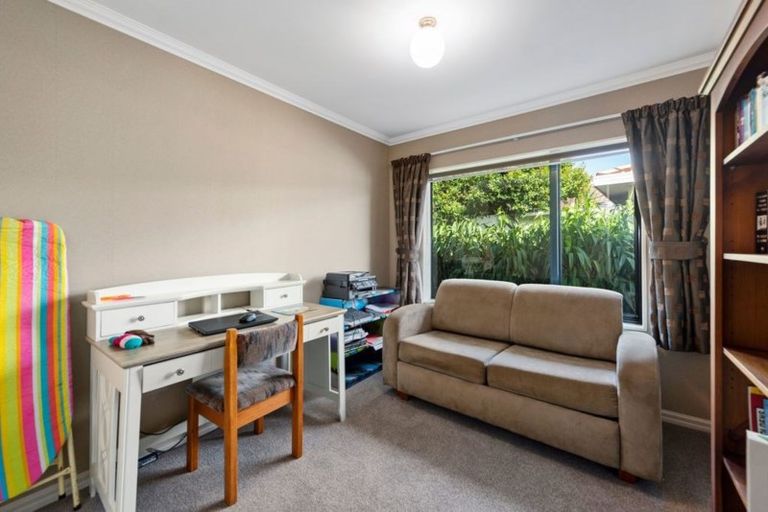 Photo of property in 17 Bayfair Drive, Mount Maunganui, 3116